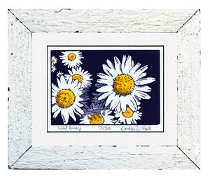 Wild Daisy