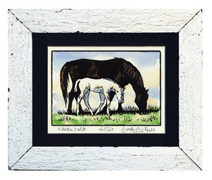 White Colt