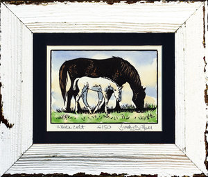White Colt