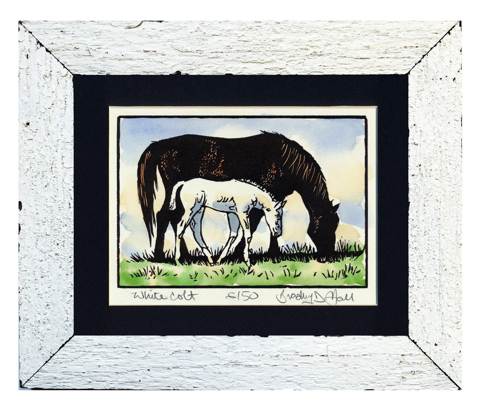 White Colt