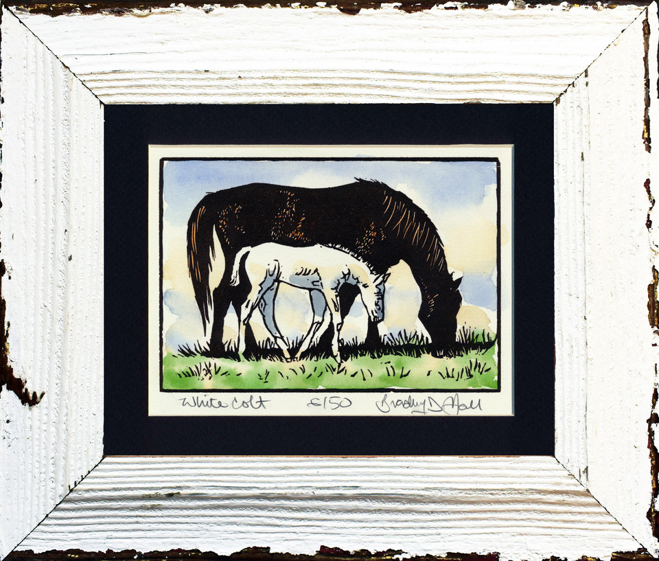 White Colt