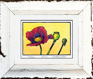 Poppy