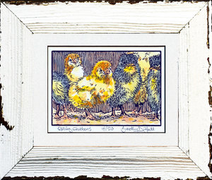Spring Chickens