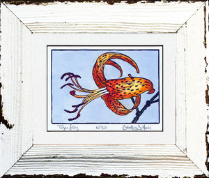 Tiger Lily