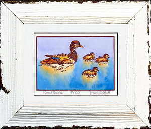 Wood Ducks