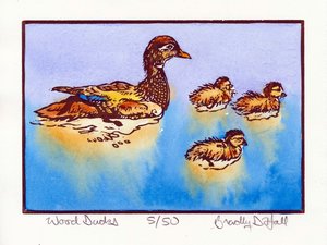 Wood Ducks