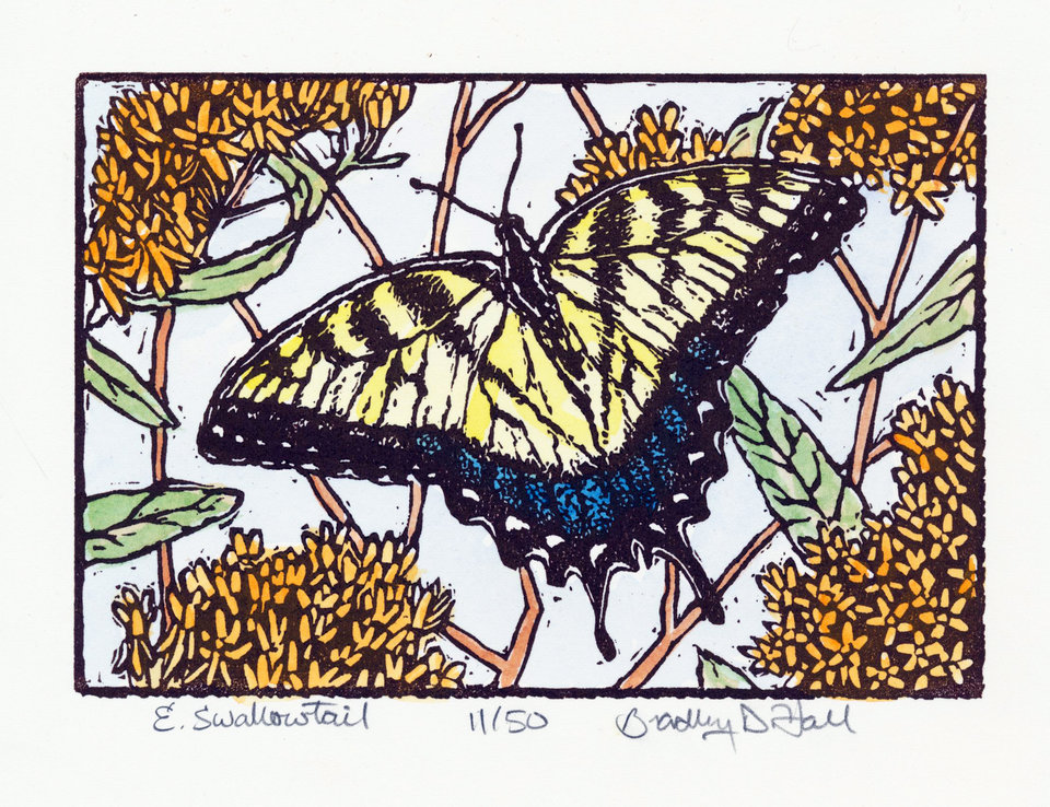 Eastern Swallowtail