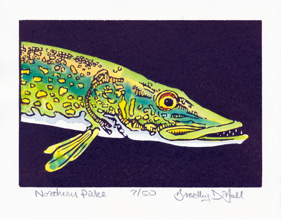 Northern Pike