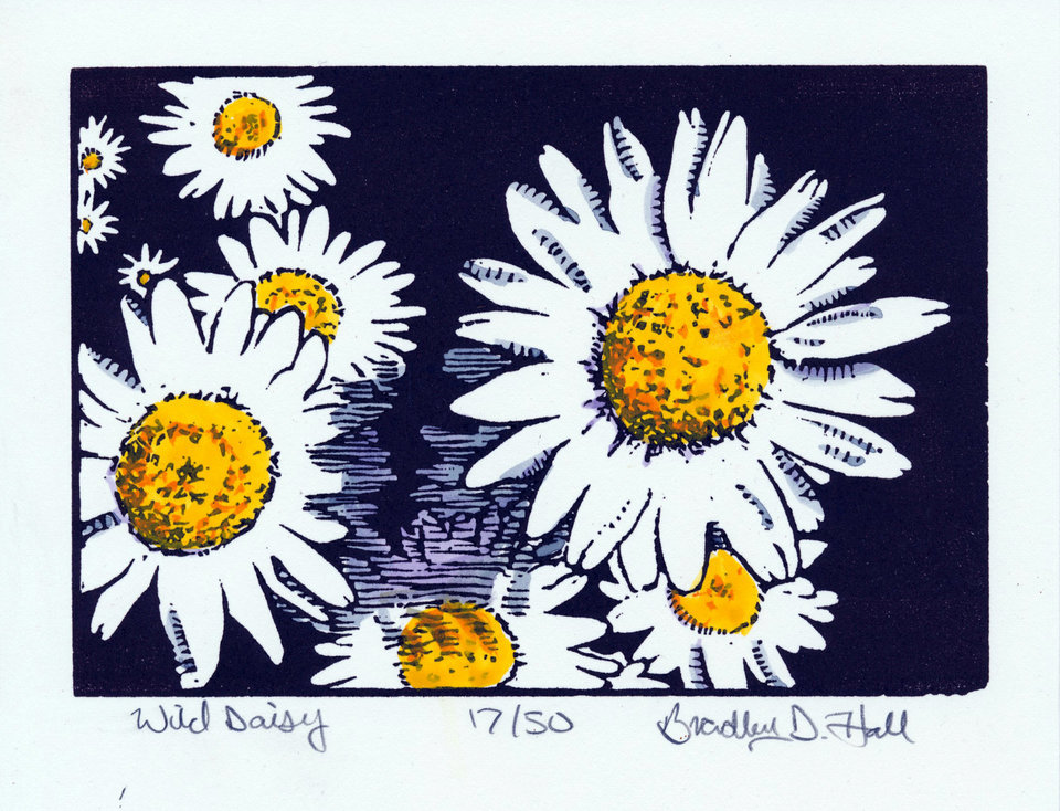 Wild Daisy