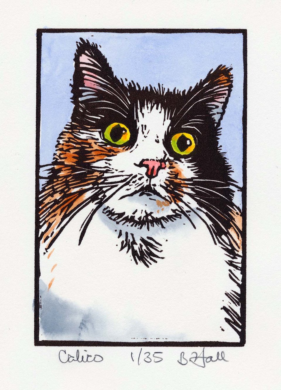 Calico