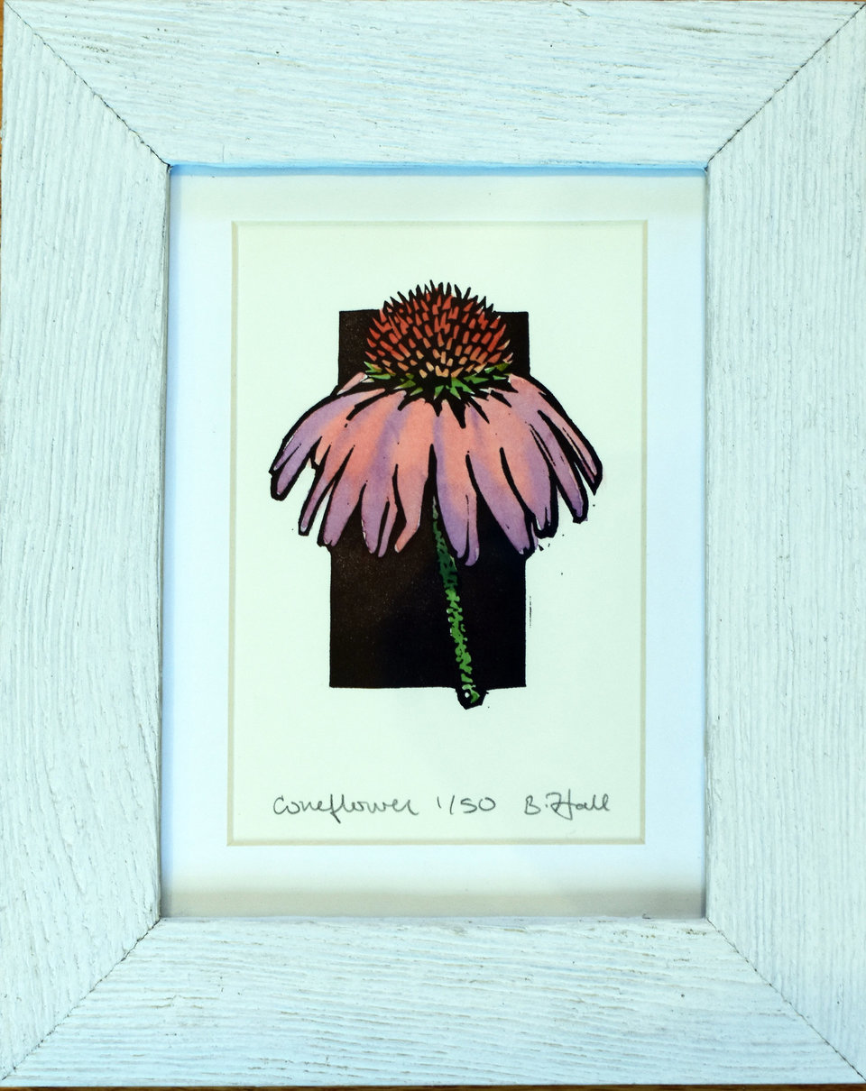 Coneflower