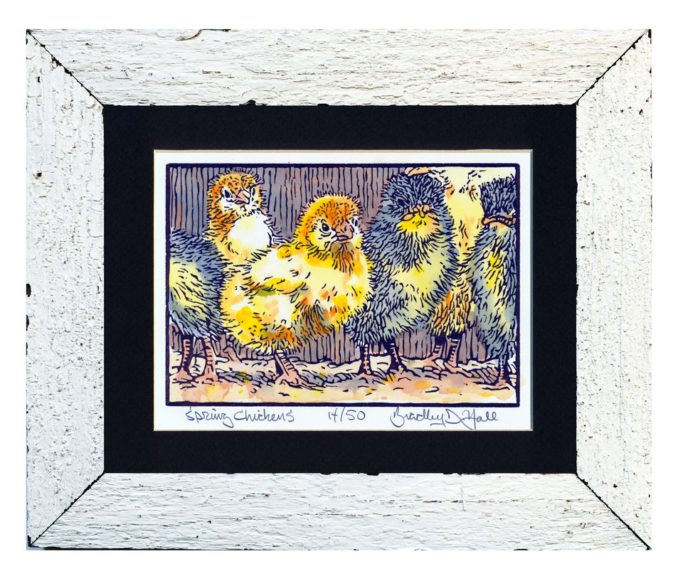 Spring Chickens