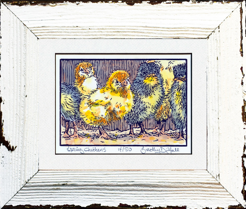 Spring Chickens
