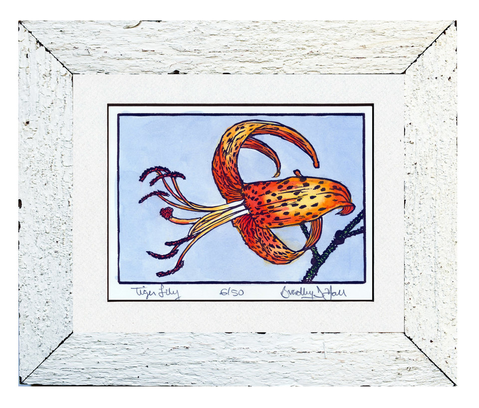 Tiger Lily