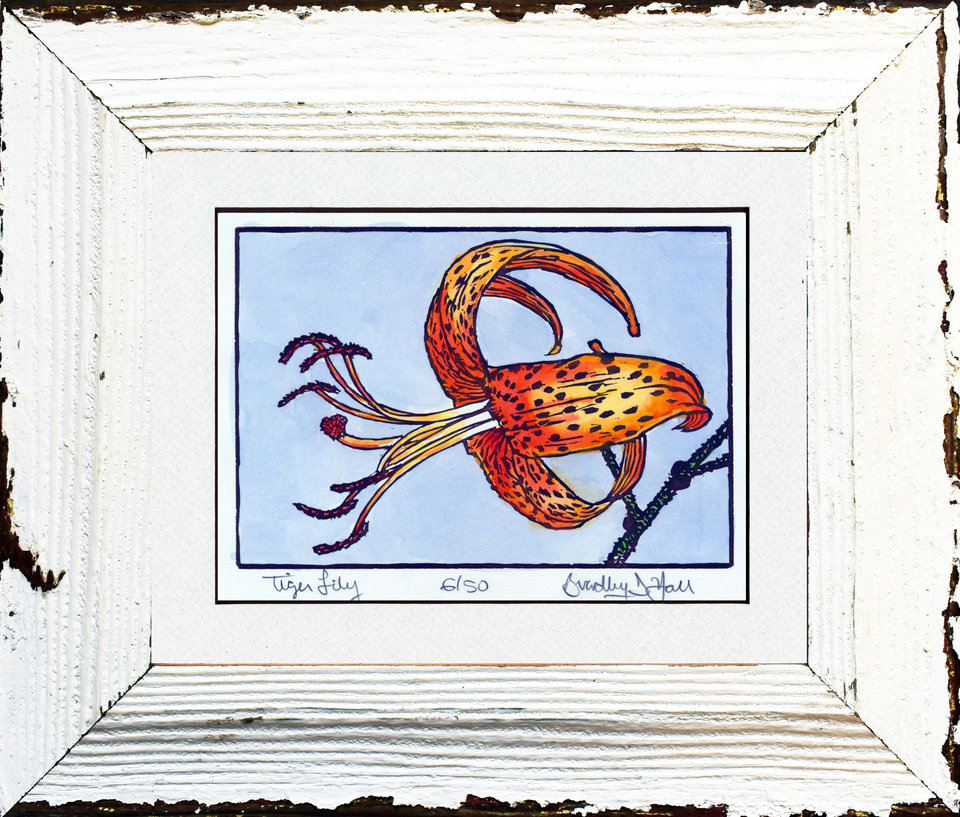 Tiger Lily