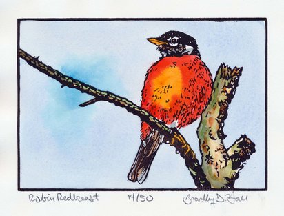 Robin Redbreast