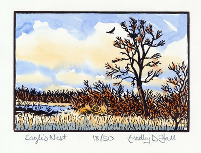 Eagle's Nest